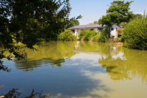 Shorefield Holidays using EliteParks park management software